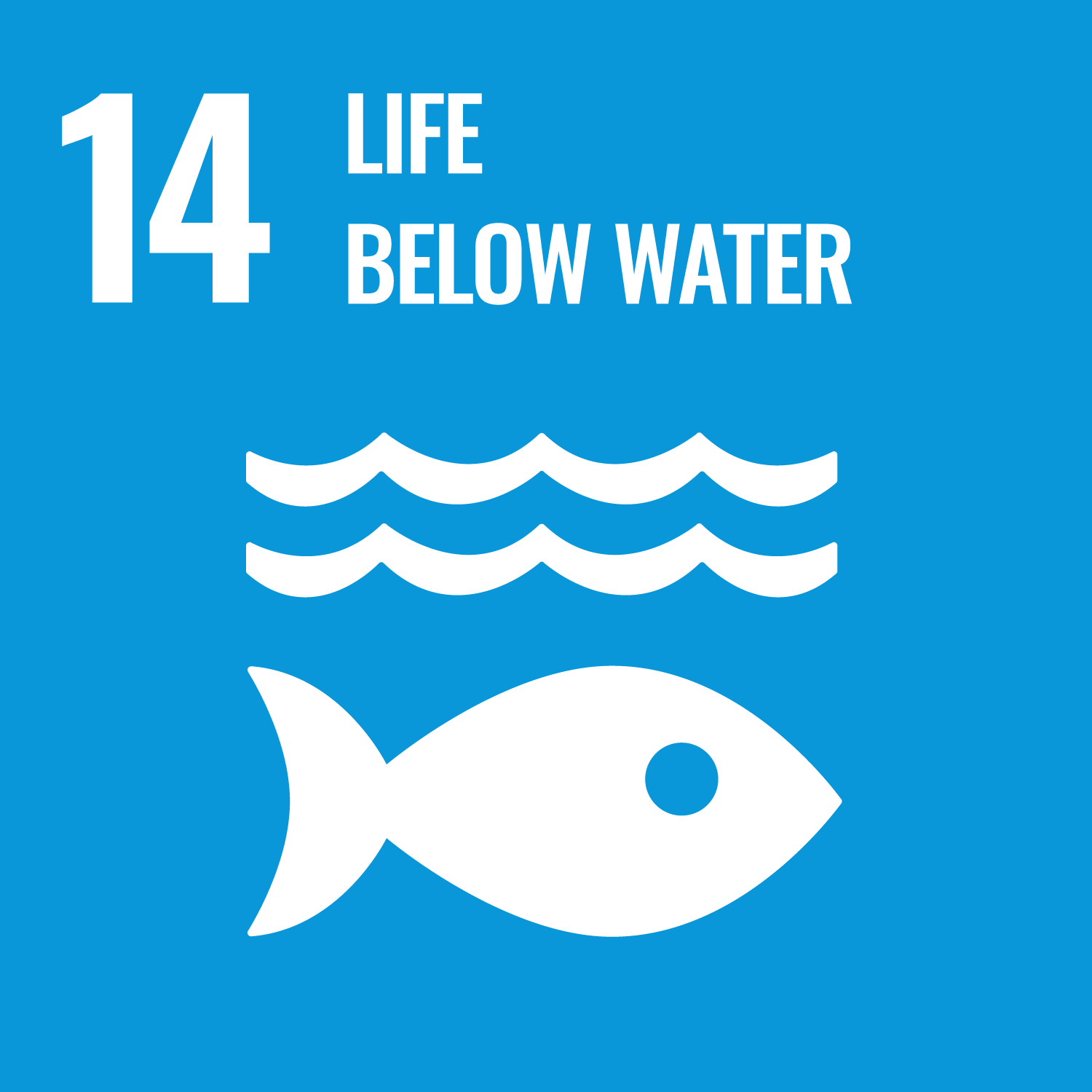 SDGs 保育海洋生態-Climate Action圖示