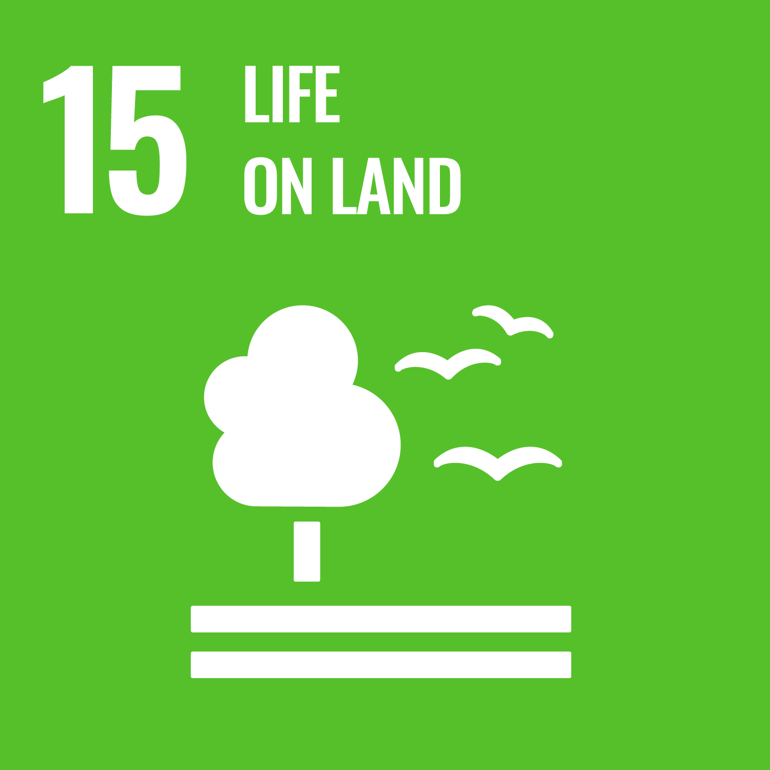 SDGS ICON