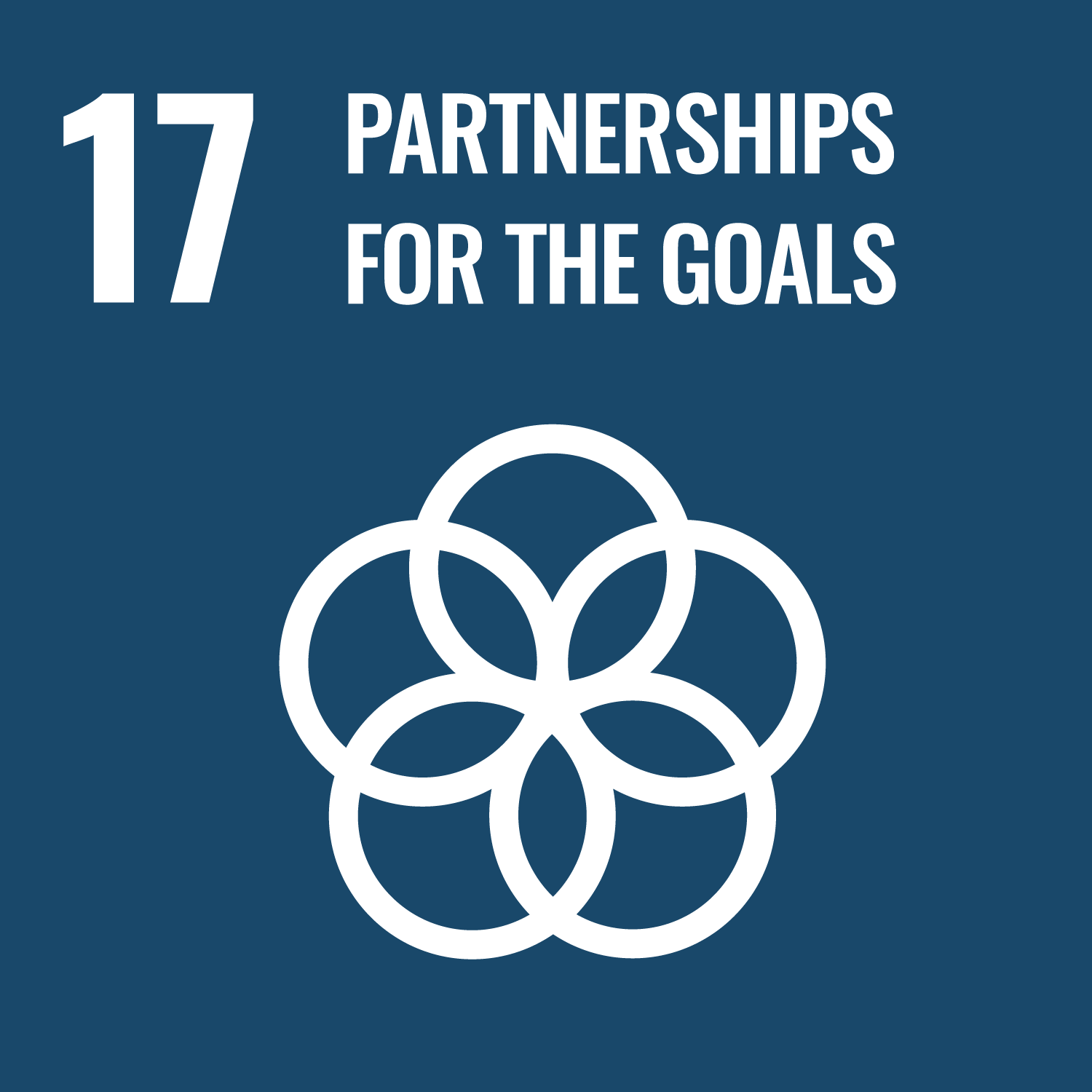 SDGs 多元夥伴關係-Partnerships for the Goals圖示